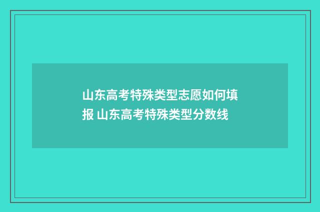山东高考特殊类型志愿如何填报 山东高考特殊类型分数线