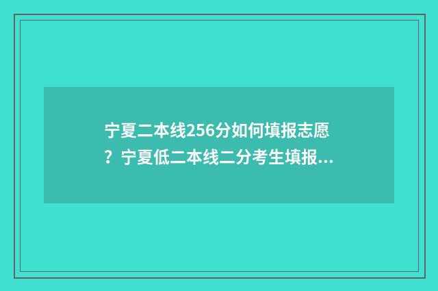 宁夏二本线256分如何填报志愿？宁夏低二本线二分考生填报志愿攻略 宁夏二本线256分是多少