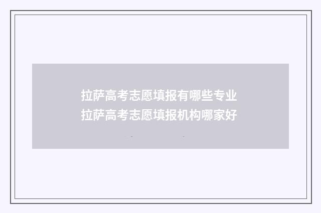 拉萨高考志愿填报有哪些专业 拉萨高考志愿填报机构哪家好