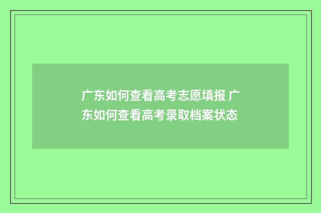 广东如何查看高考志愿填报 广东如何查看高考录取档案状态