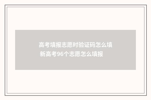 高考填报志愿时验证码怎么填 新高考96个志愿怎么填报