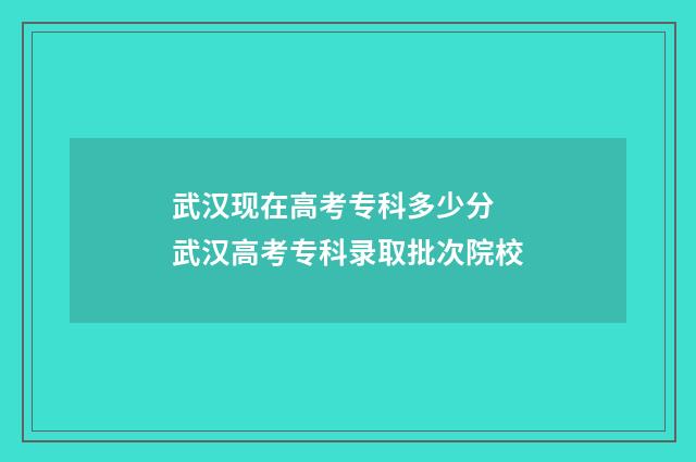 武汉现在高考专科多少分 武汉高考专科录取批次院校