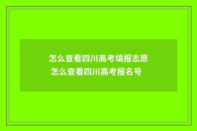 怎么查看四川高考填报志愿 怎么查看四川高考报名号