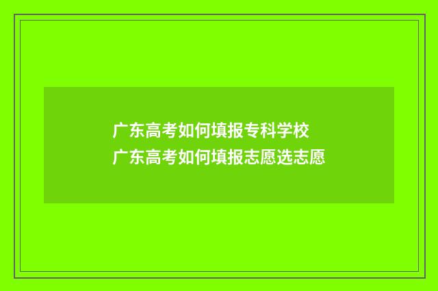 广东高考如何填报专科学校 广东高考如何填报志愿选志愿