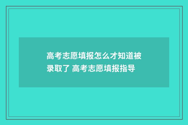 高考志愿填报怎么才知道被录取了 高考志愿填报指导