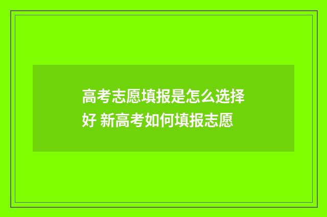 高考志愿填报是怎么选择好 新高考如何填报志愿