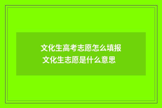 文化生高考志愿怎么填报 文化生志愿是什么意思
