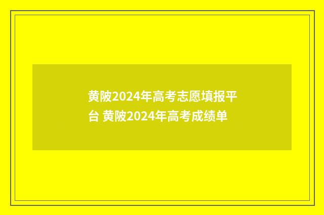 黄陂2024年高考志愿填报平台 黄陂2024年高考成绩单