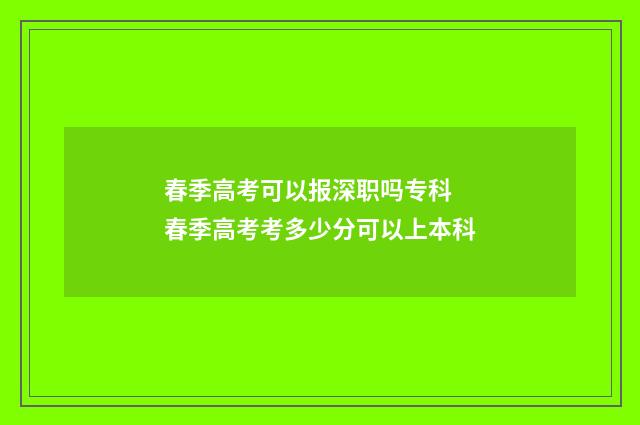 春季高考可以报深职吗专科 春季高考考多少分可以上本科