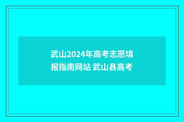 武山2024年高考志愿填报指南网站 武山县高考