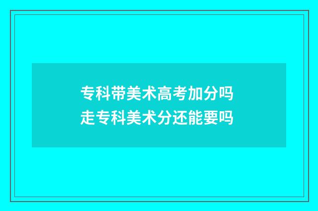 专科带美术高考加分吗 走专科美术分还能要吗