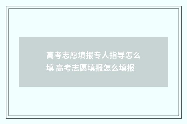 高考志愿填报专人指导怎么填 高考志愿填报怎么填报