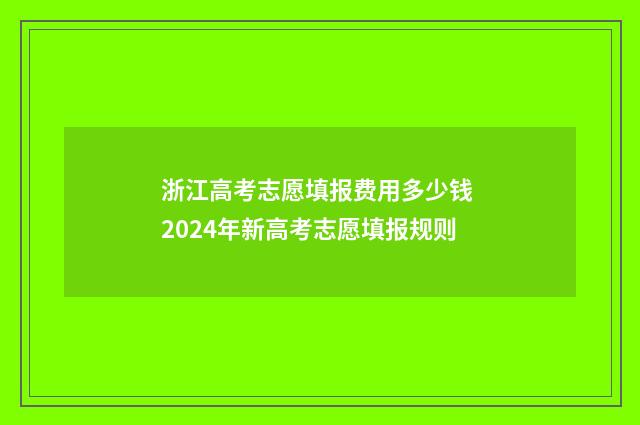 浙江高考志愿填报费用多少钱 2024年新高考志愿填报规则