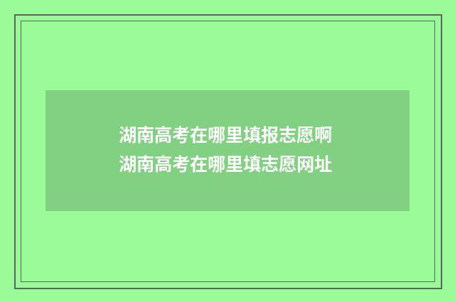 湖南高考在哪里填报志愿啊 湖南高考在哪里填志愿网址