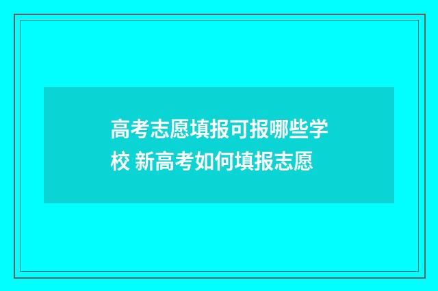 高考志愿填报可报哪些学校 新高考如何填报志愿