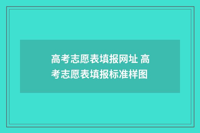 高考志愿表填报网址 高考志愿表填报标准样图
