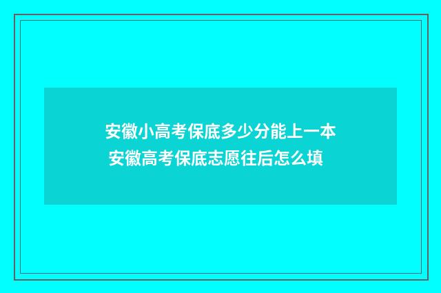 安徽小高考保底多少分能上一本 安徽高考保底志愿往后怎么填