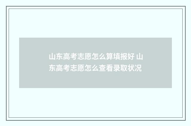 山东高考志愿怎么算填报好 山东高考志愿怎么查看录取状况
