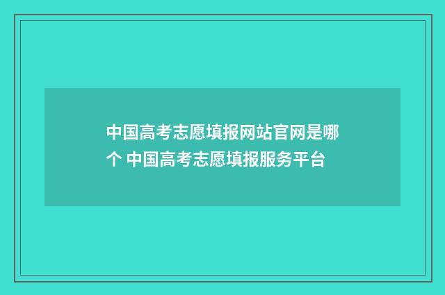中国高考志愿填报网站官网是哪个 中国高考志愿填报服务平台