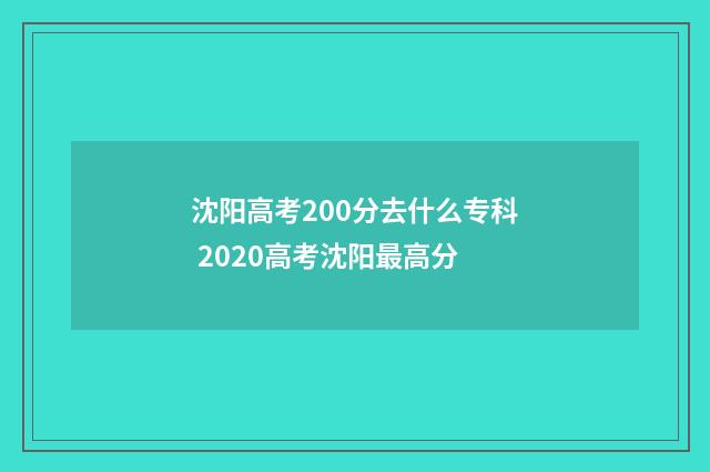 沈阳高考200分去什么专科 2020高考沈阳最高分