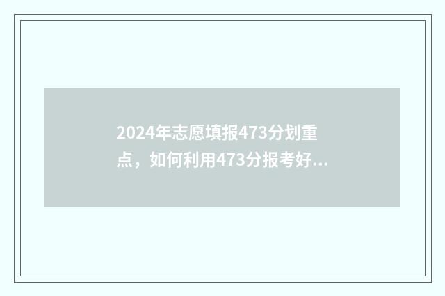 2024年志愿填报473分划重点,如何利用473分报考好大学 2024年志愿填报志指南