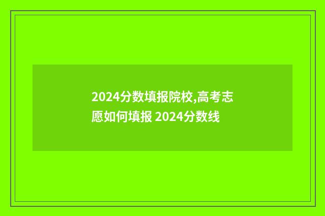 2024分数填报院校,高考志愿如何填报 2024分数线