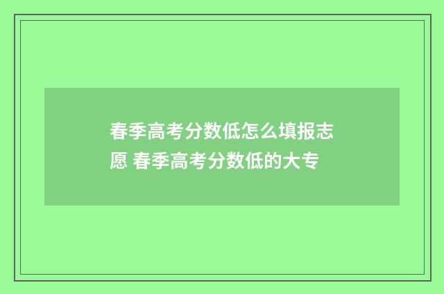 春季高考分数低怎么填报志愿 春季高考分数低的大专