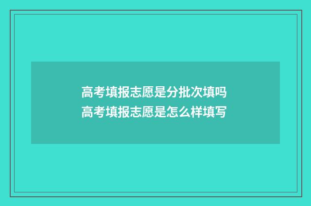 高考填报志愿是分批次填吗 高考填报志愿是怎么样填写