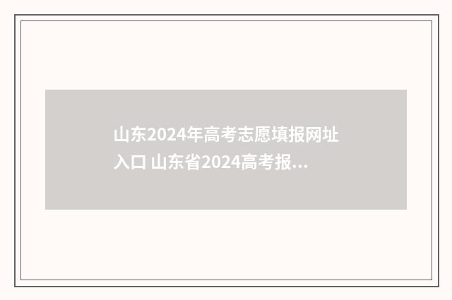 山东2024年高考志愿填报网址入口 山东省2024高考报名网站入口官网