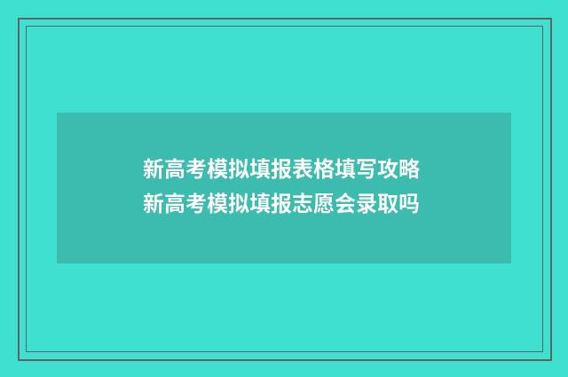 新高考模拟填报表格填写攻略 新高考模拟填报志愿会录取吗