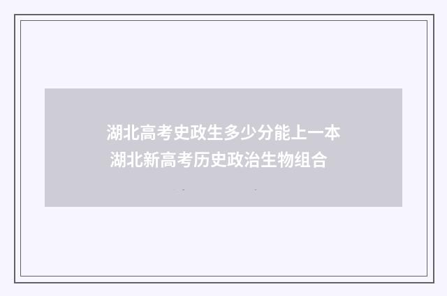 湖北高考史政生多少分能上一本 湖北新高考历史政治生物组合