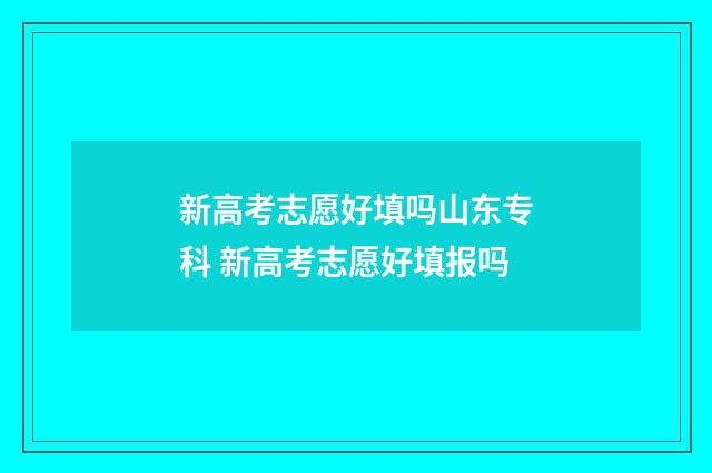 新高考志愿好填吗山东专科 新高考志愿好填报吗