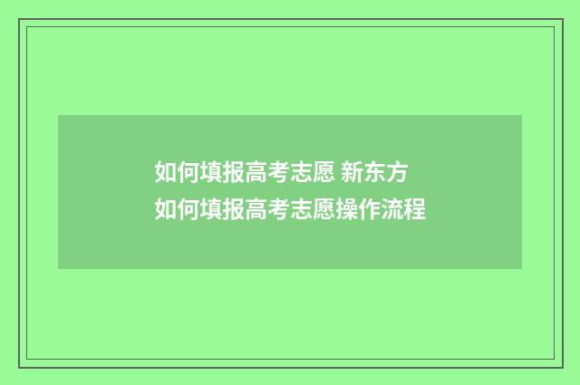 如何填报高考志愿 新东方 如何填报高考志愿操作流程