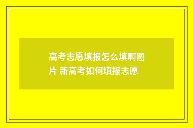 高考志愿填报怎么填啊图片 新高考如何填报志愿