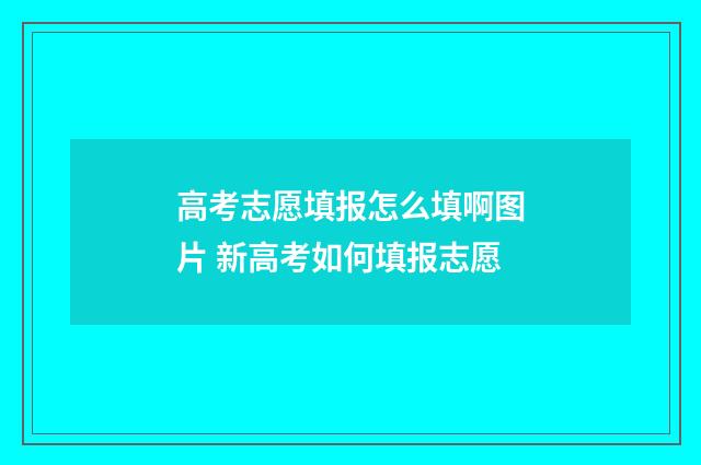 高考志愿填报怎么填啊图片 新高考如何填报志愿