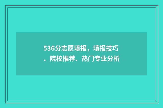 536分志愿填报,填报技巧、院校推荐、热门专业分析