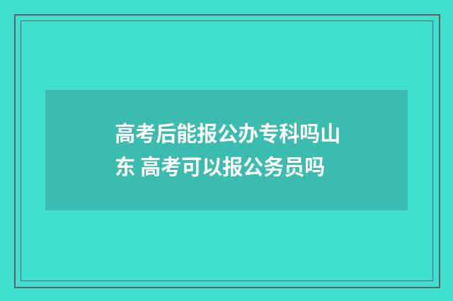 高考后能报公办专科吗山东 高考可以报公务员吗