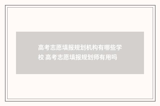 高考志愿填报规划机构有哪些学校 高考志愿填报规划师有用吗