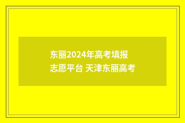 东丽2024年高考填报志愿平台 天津东丽高考