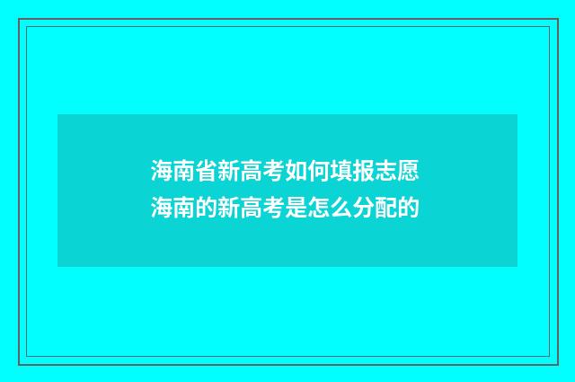 海南省新高考如何填报志愿 海南的新高考是怎么分配的