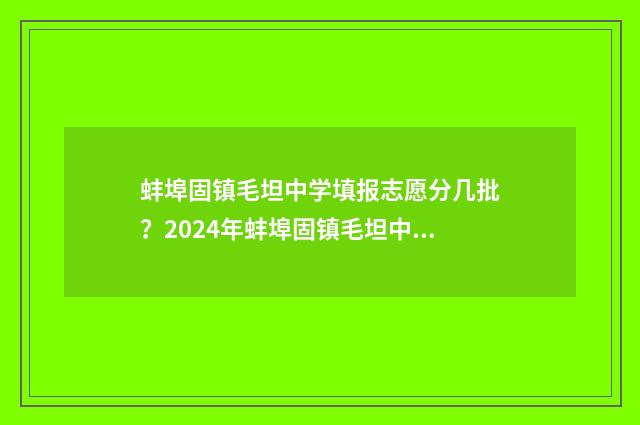 蚌埠固镇毛坦中学填报志愿分几批?2024年蚌埠固镇毛坦中学志愿填报批次时间表 固镇毛坦厂中学是私立学校吗