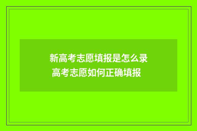 新高考志愿填报是怎么录 高考志愿如何正确填报
