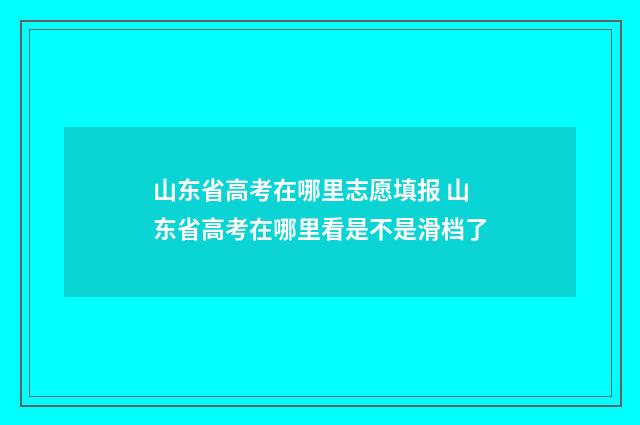 山东省高考在哪里志愿填报 山东省高考在哪里看是不是滑档了