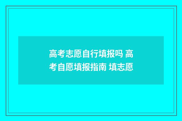 高考志愿自行填报吗 高考自愿填报指南 填志愿