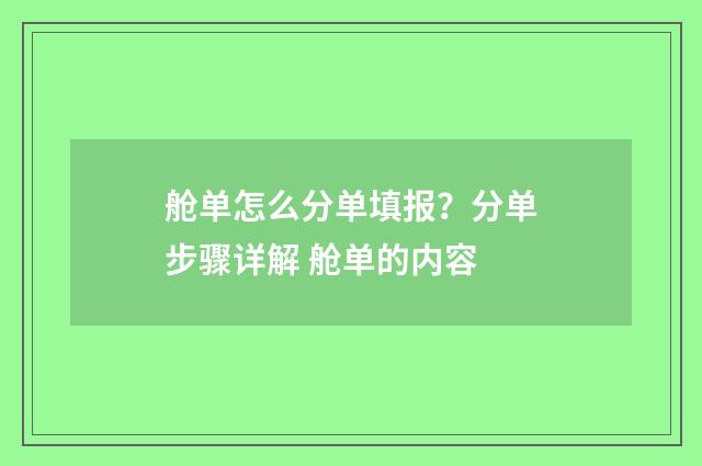 舱单怎么分单填报？分单步骤详解 舱单的内容