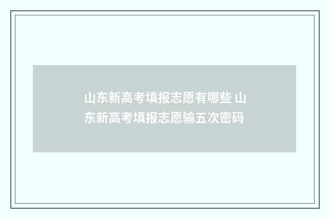 山东新高考填报志愿有哪些 山东新高考填报志愿输五次密码