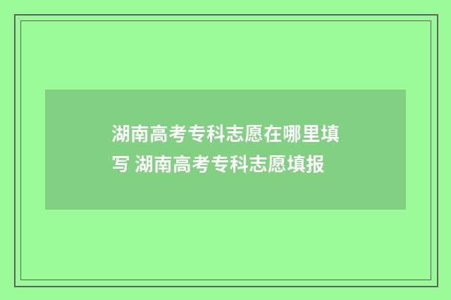 湖南高考专科志愿在哪里填写 湖南高考专科志愿填报