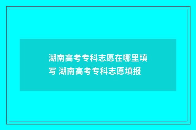 湖南高考专科志愿在哪里填写 湖南高考专科志愿填报