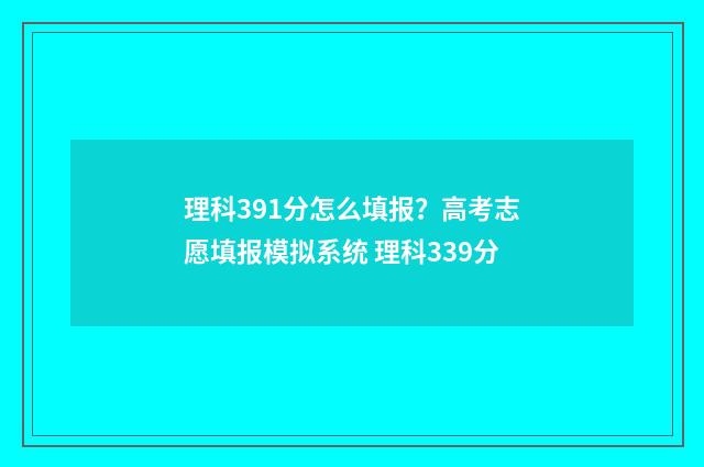 理科391分怎么填报？高考志愿填报模拟系统 理科339分