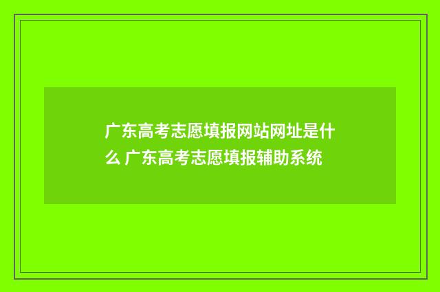 广东高考志愿填报网站网址是什么 广东高考志愿填报辅助系统